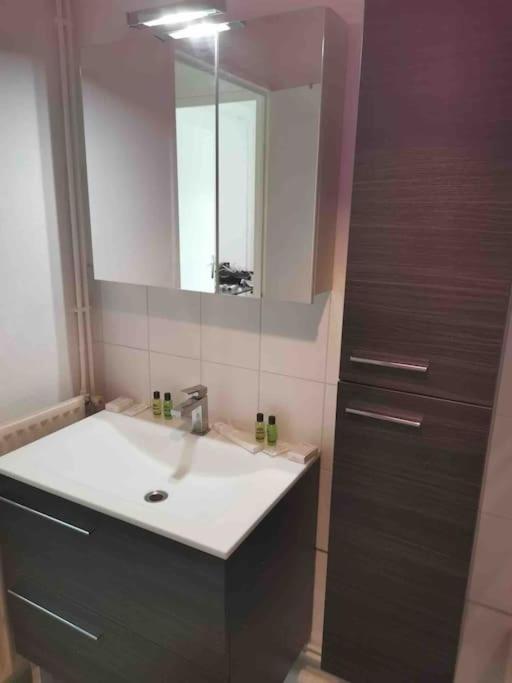 Charmant Appartement Au Calme Bourg-en-Bresse Exteriör bild